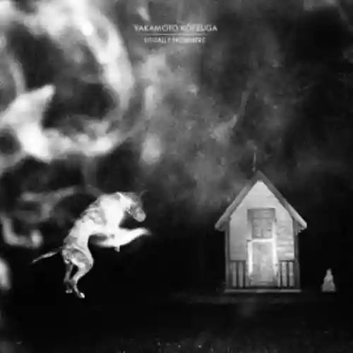 Cover Yakamoto Kotzuga - Usually Nowhere