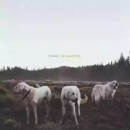 Cover di The Albatross