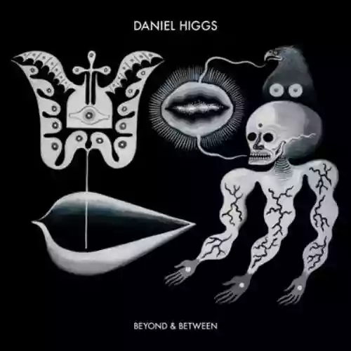 Cover Daniel Higgs - Beyond & Between
