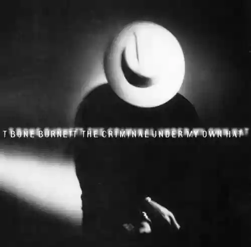 Cover di The Criminal Under My Own Hat