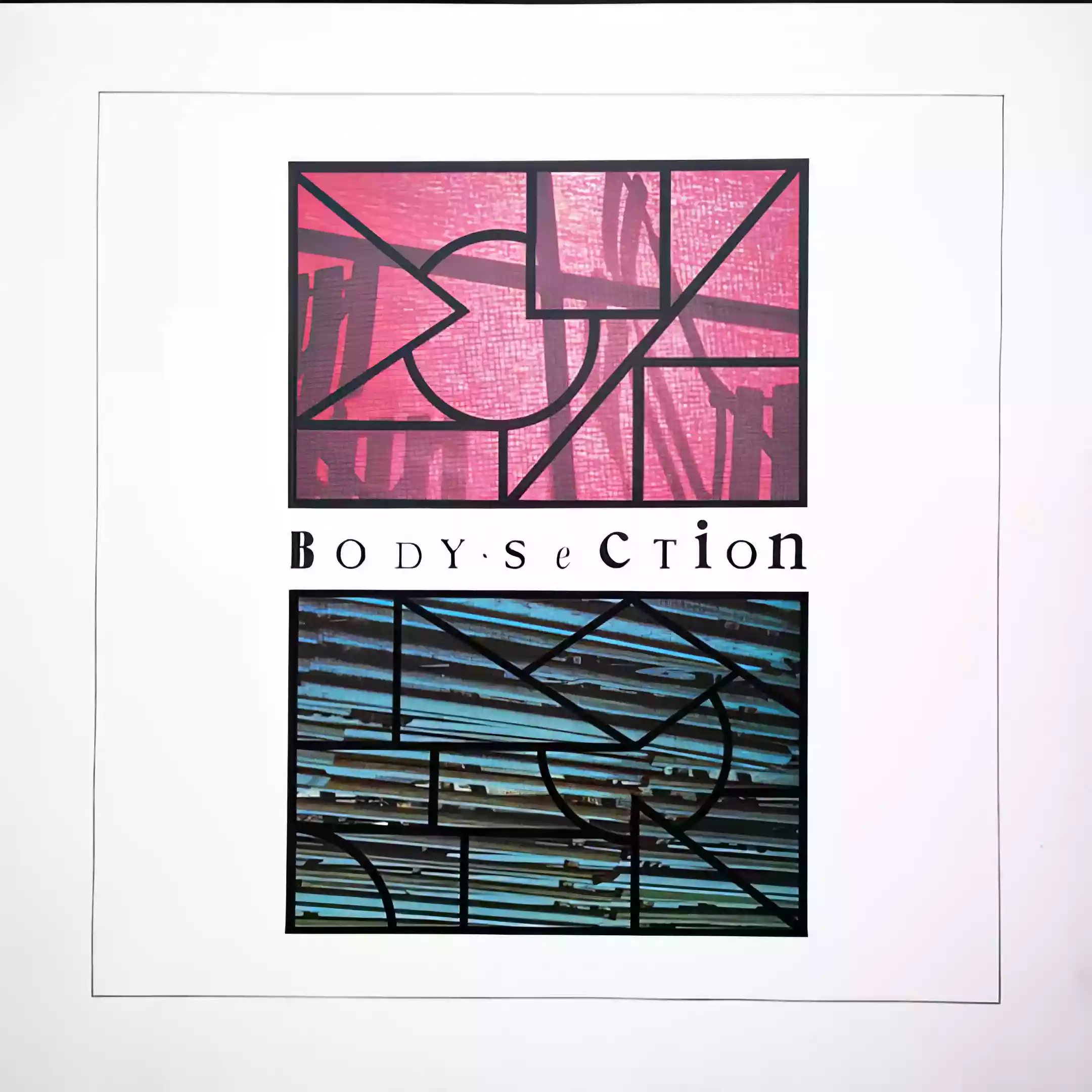 Various Artists: Body Section