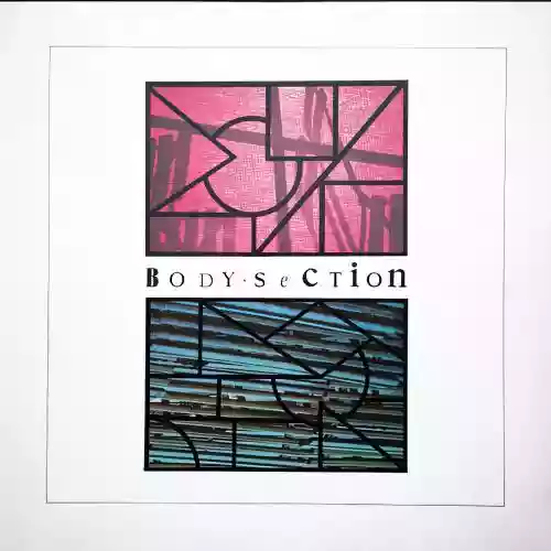 Cover di Body Section