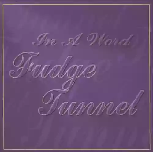 Cover Fudge Tunnel - In a Word
