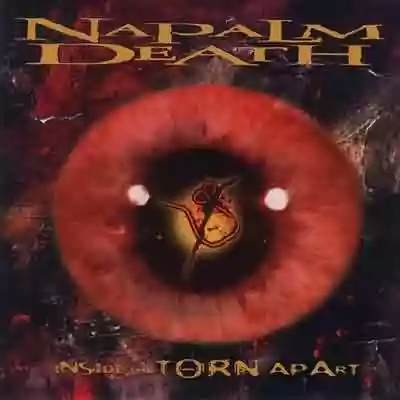 Napalm Death: Inside The Torn Apart