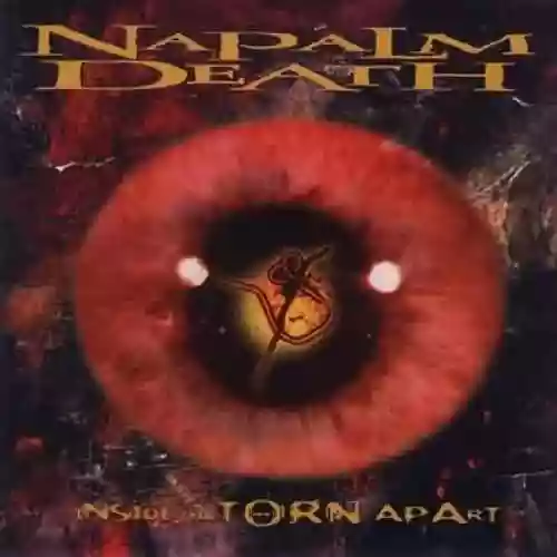 Cover di Inside the Torn Apart