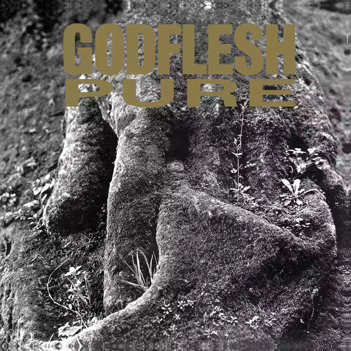 Godflesh: Pure