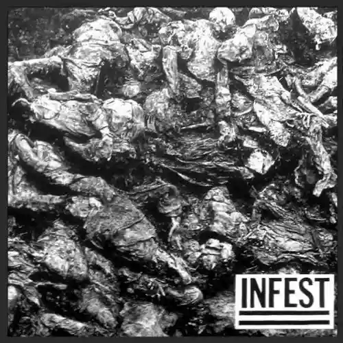Cover di Days Turn Black