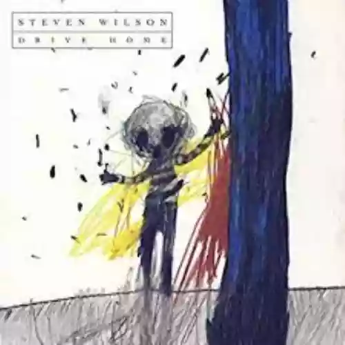 Cover Steven Wilson - Drive Home