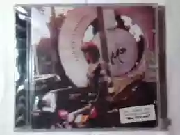 Alberto Fortis: Fiori sullo schermo futuro