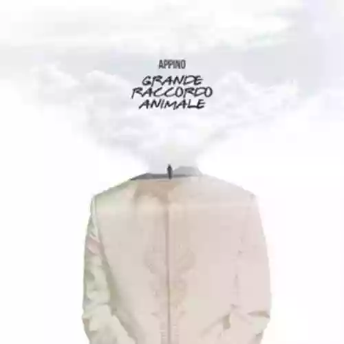 Cover di Grande raccordo animale