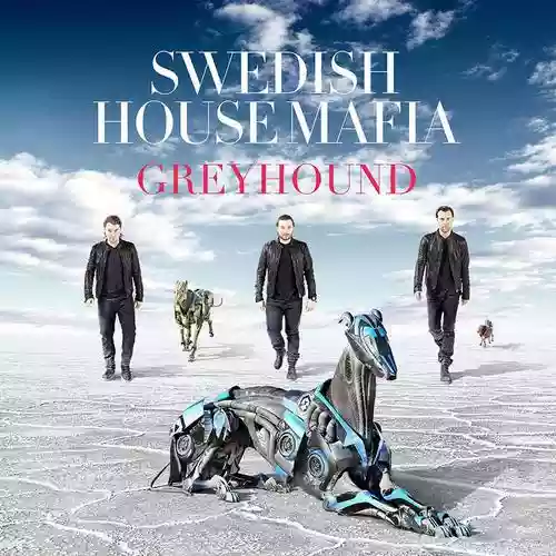 Cover Swedish House Mafia - Greyhound