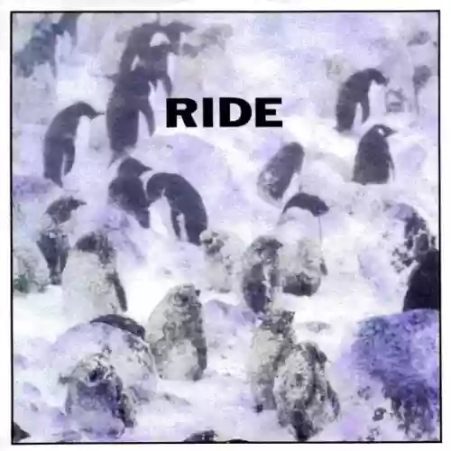 Cover Ride - Fall