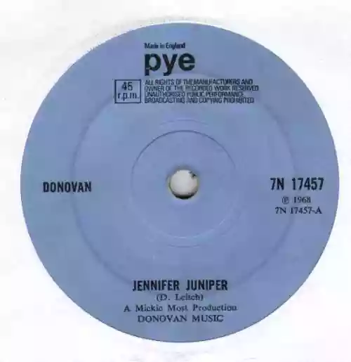 Cover Donovan - Jennifer Juniper