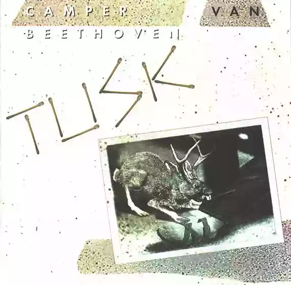 camper van beethoven: tusk