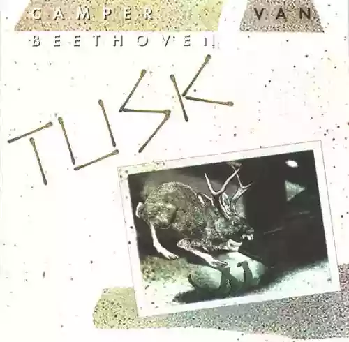 Cover di Tusk