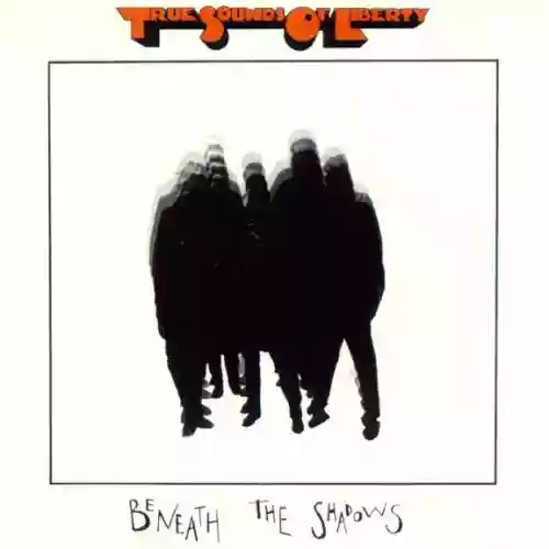 Cover di Beneath the Shadows