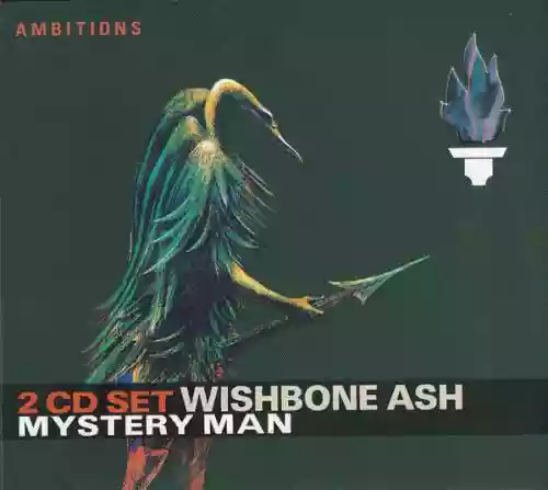 Cover di Mystery Man