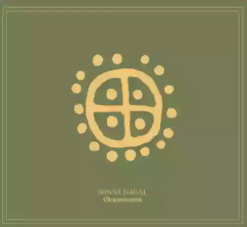 Cover Sonne Hagal - Ockerwasser