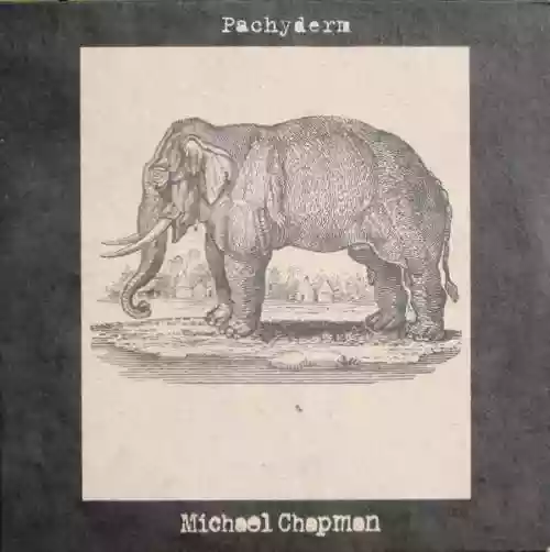 Cover Michael Chapman - Pachyderm