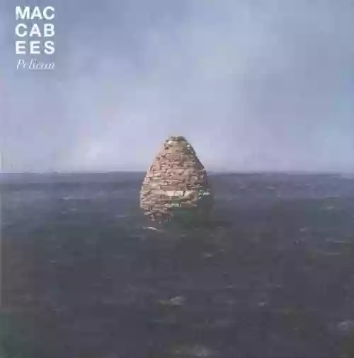 Cover The Maccabees - Pelican