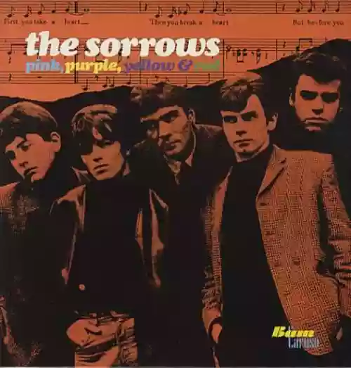 Cover The Sorrows - Pink, Purple, Yellow & Red