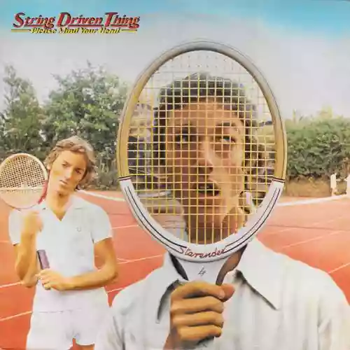 Cover String Driven Thing - Please Mind Your Head