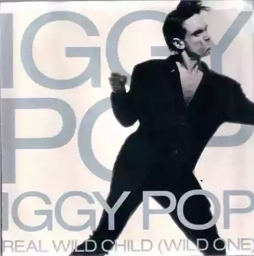 Cover Iggy Pop - Real Wild Child (Wild One)