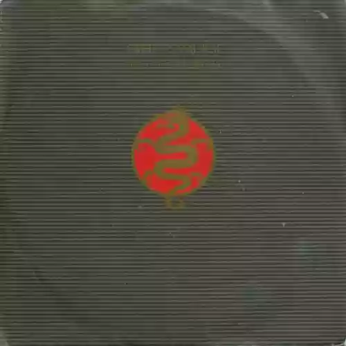 Cover Michael Cretu - Samurai