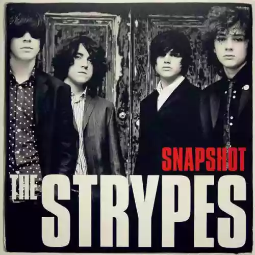 Cover The Strypes - Snapshot