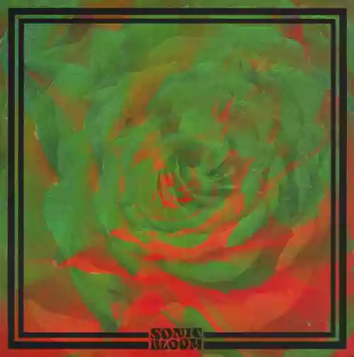 Cover Night Beats - Sonic Bloom