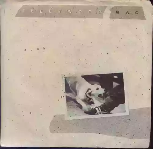 Cover Fleetwood Mac - Tusk