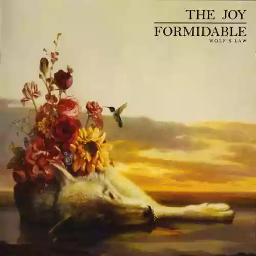 Cover The Joy Formidable - Wolf's Law