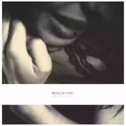 Cover Birds in Row - You, Me & the Violence