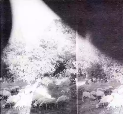 Cover Godspeed You! Black Emperor - ‘Asunder, Sweet and Other Distress’