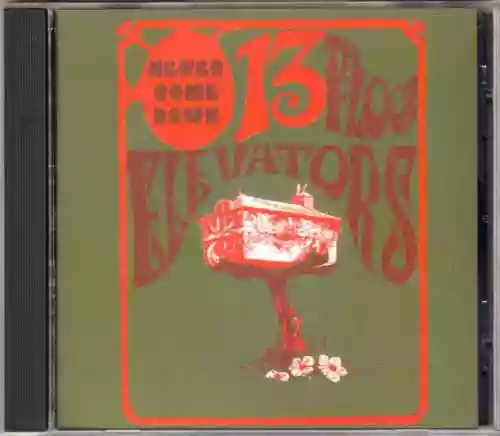 Cover 13th Floor Elevators - Never Come Down