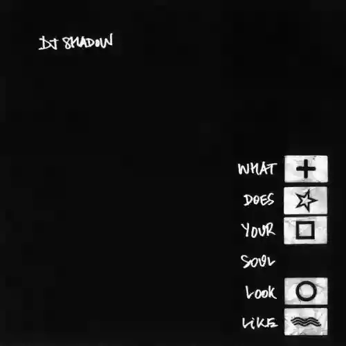 Cover DJ Shadow - What Does Your Soul Look Like