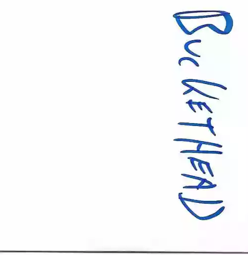 Cover Buckethead - 22222222