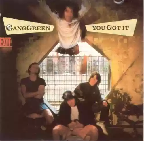 Cover di You Got It