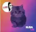 <b>Elisa</b> &bull; On
