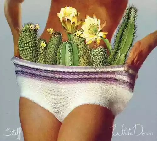 Cover White Denim - Stiff
