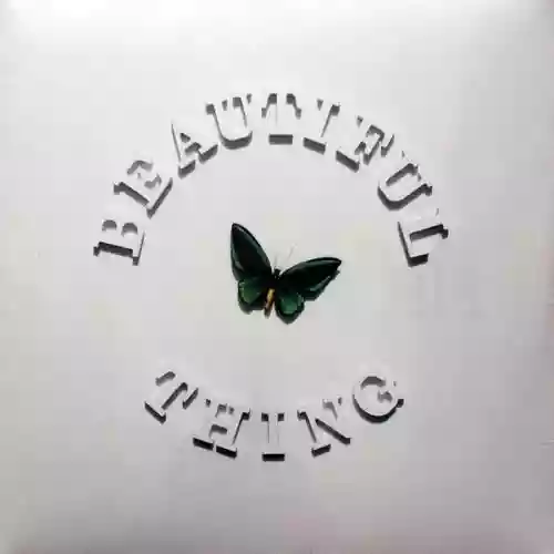 Cover The Stone Roses - Beautiful Thing