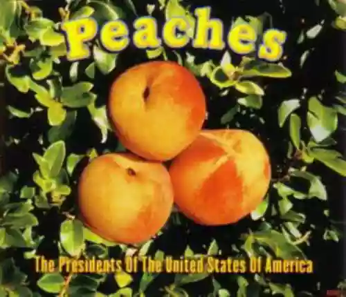 Cover The Presidents of the United States of America - Peaches