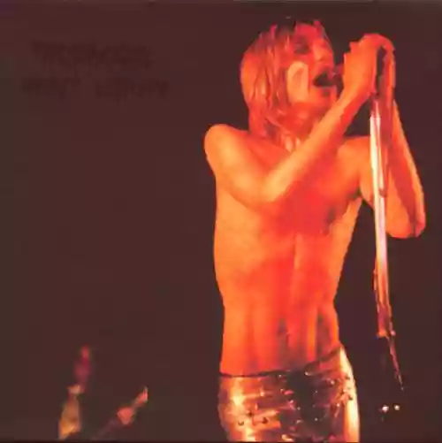 Cover The Stooges - Heavy Liquid