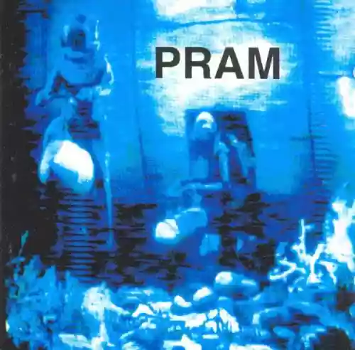 Cover Pram - Meshes