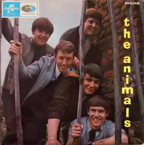 Cover di The Animals