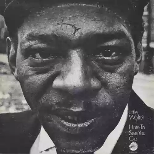 Cover Little Walter - Hate to See You Go