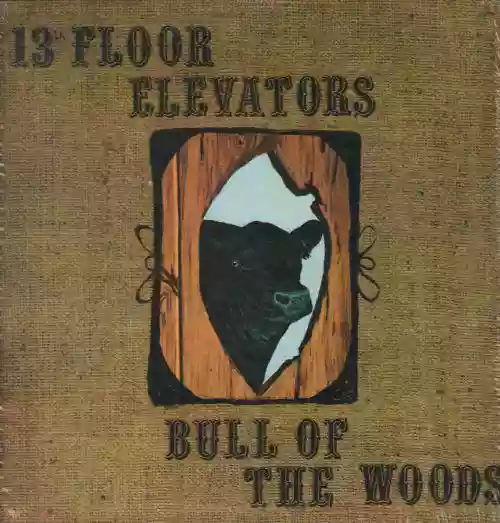 Cover 13th Floor Elevators - Bull Of The Woods
