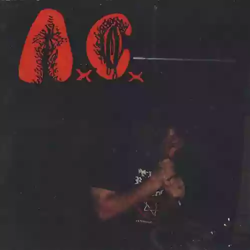 Cover Anal Cunt - Live At Blastonbury Fest 2007