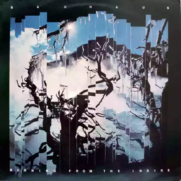 Bauhaus: Burning From The Inside