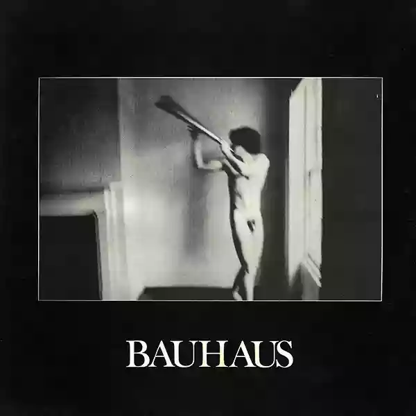 Bauhaus: In The Flat Field
